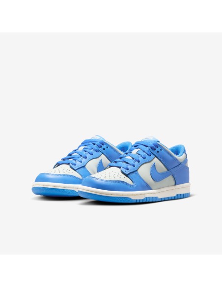 Nike Dunk Low Light Silver Sail Light Photo Blue GS FB9109004 MBS
