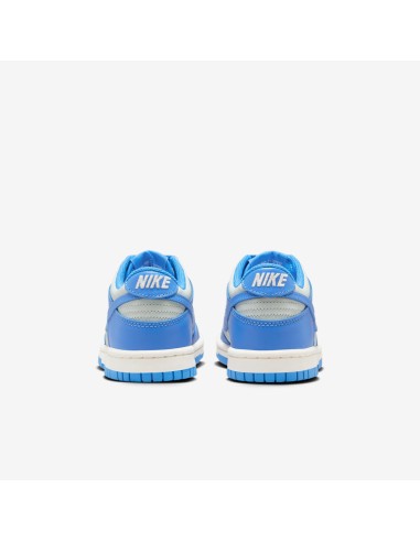Nike Dunk Low Light Silver Sail Light Photo Blue GS FB9109004 MBS