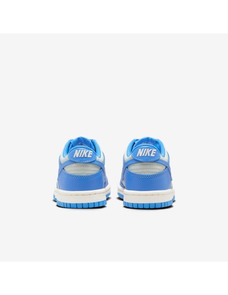 Nike Dunk Low Light Silver Sail Light Photo Blue GS FB9109004 MBS