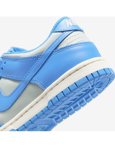 Nike Dunk Low Light Silver Sail Light Photo Blue GS FB9109004 MBS