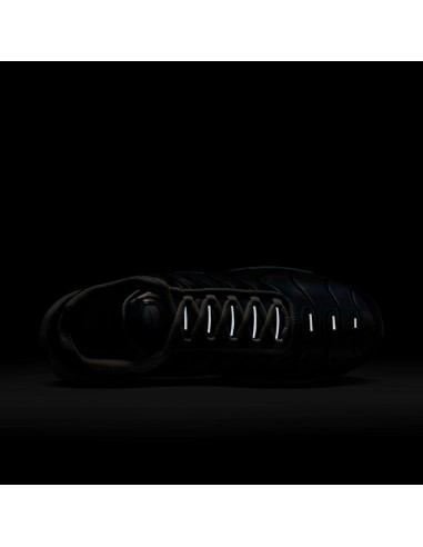 Nike Air Max Plus Iridescent HV2525001 MBS