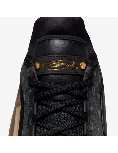 Nike LeBron 23 The Chosen One and The One Who Chose Translucent Outsole IF0694001 MBS