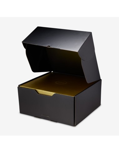 Nike LeBron 23 The Chosen One and The One Who Chose Translucent Outsole IF0694001 MBS