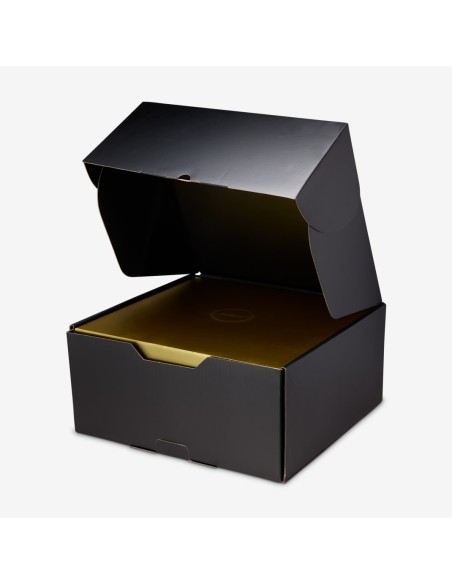 Nike LeBron 23 The Chosen One and The One Who Chose Translucent Outsole IF0694001 MBS