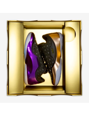 Nike LeBron 23 The Chosen One and The One Who Chose Translucent Outsole IF0694001 MBS