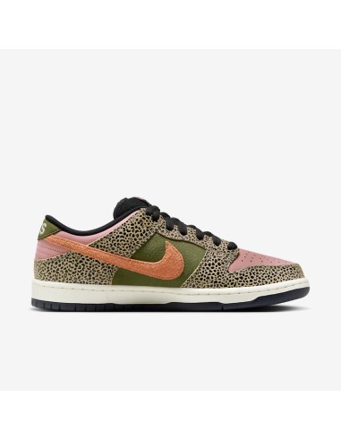 Nike SB Dunk Low ArtsRec IH3211200 MBS