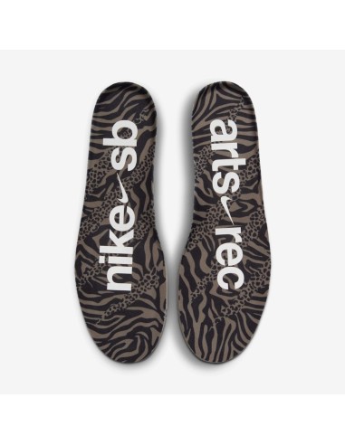 Nike SB Dunk Low ArtsRec IH3211200 MBS
