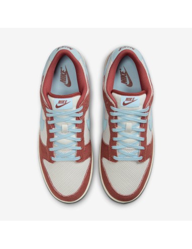 Nike Dunk Low Retro SE Terra Brown Celestine Blue HJ4329200 MBS