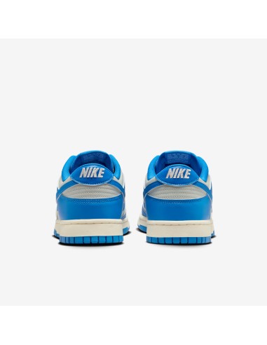 Nike Dunk Low Detroit Lions HF5441002 MBS