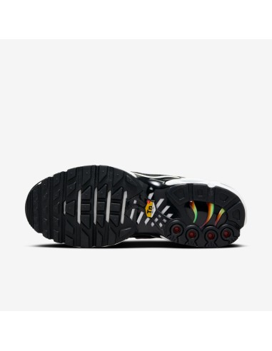 Nike Air Max Plus Rainbow Women's DZ3670001 MBS