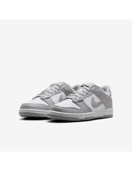 Nike Dunk Low White Light Smoke Grey GS FB9109123 MBS