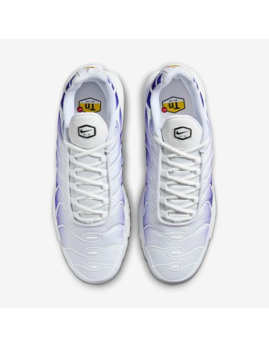 Nike Air Max Plus White Wild Grape DM0032105 MBS