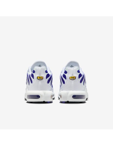 Nike Air Max Plus White Wild Grape DM0032105 MBS