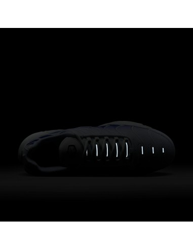 Nike Air Max Plus White Wild Grape DM0032105 MBS