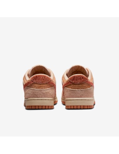 Nike Dunk Low Burnt Sunrise Women's HF5075287 MBS