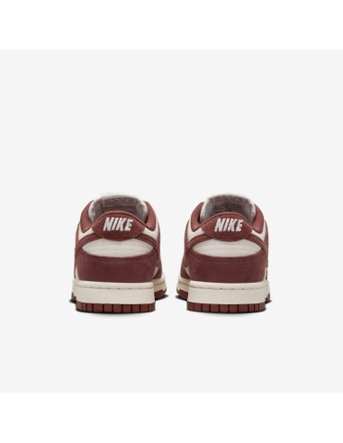 Nike Dunk Low Next Nature Red Sepia Women's HJ7673001 MBS