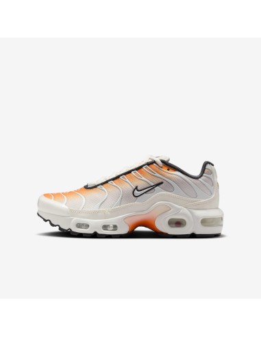 Nike Air Max Plus Orange Peel Summit White Anthracite Vast Grey GS CD0609800 MBS