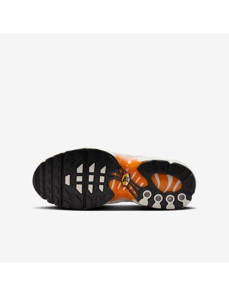 Nike Air Max Plus Orange Peel Summit White Anthracite Vast Grey GS CD0609800 MBS