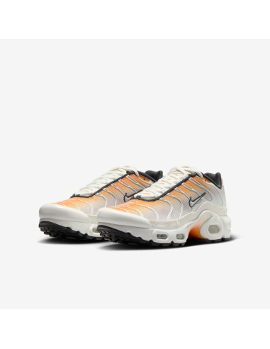 Nike Air Max Plus Orange Peel Summit White Anthracite Vast Grey GS CD0609800 MBS