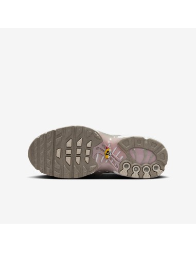 Nike Air Max Plus Photon Dust Enigma Stone White Particle Rose GS CD0609035 MBS
