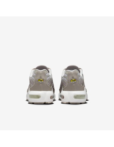 Nike Air Max Plus Photon Dust Enigma Stone White Particle Rose GS CD0609035 MBS