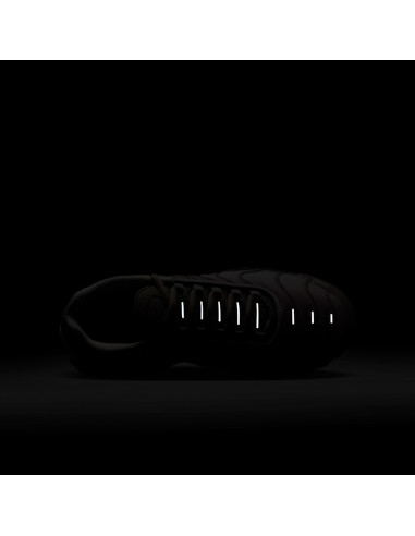 Nike Air Max Plus Photon Dust Enigma Stone White Particle Rose GS CD0609035 MBS