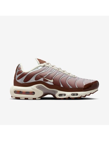 Air Max Plus 'Light Orewood Brown Dark Pony' II7637200 MBS
