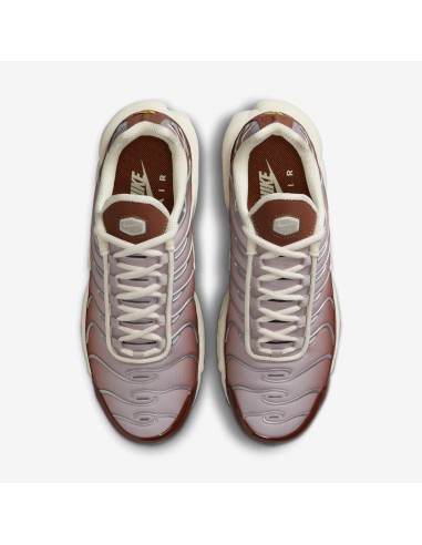 Air Max Plus 'Light Orewood Brown Dark Pony' II7637200 MBS