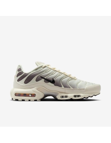 Air Max Plus 'Light Orewood Cave Stone' DM0032106 MBS