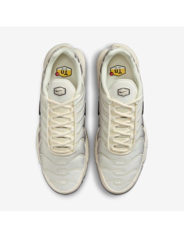 Air Max Plus 'Light Orewood Cave Stone' DM0032106 MBS