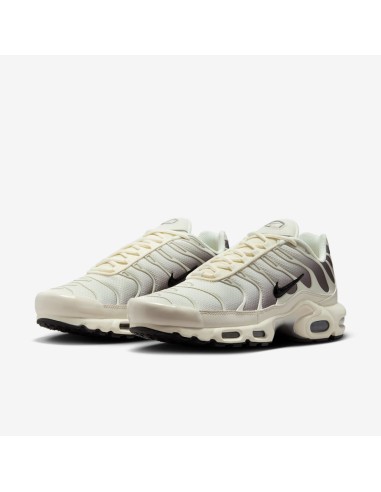 Air Max Plus 'Light Orewood Cave Stone' DM0032106 MBS