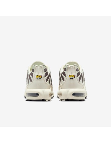 Air Max Plus 'Light Orewood Cave Stone' DM0032106 MBS