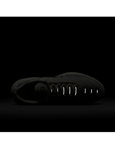 Air Max Plus 'Light Orewood Cave Stone' DM0032106 MBS