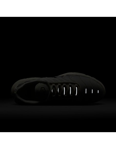 Air Max Plus 'Light Orewood Cave Stone' DM0032106 MBS