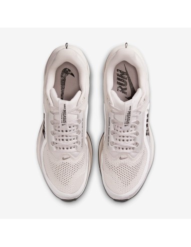 Nike Air Zoom Pegasus Premium Run IH2288001 MBS