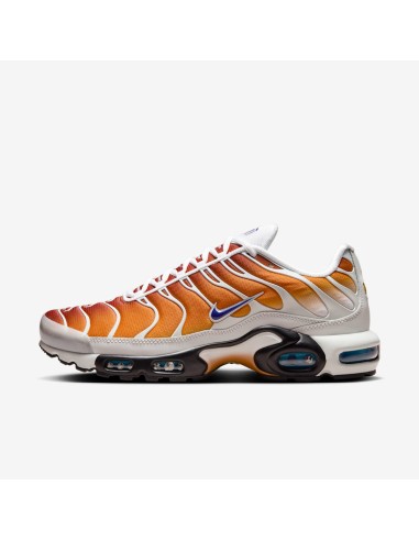 Nike Air Max Plus One Block Down Chutney FZ3308700 MBS