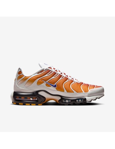 Nike Air Max Plus One Block Down Chutney FZ3308700 MBS
