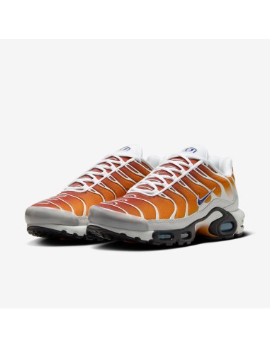 Nike Air Max Plus One Block Down Chutney FZ3308700 MBS