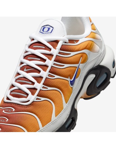 Nike Air Max Plus One Block Down Chutney FZ3308700 MBS