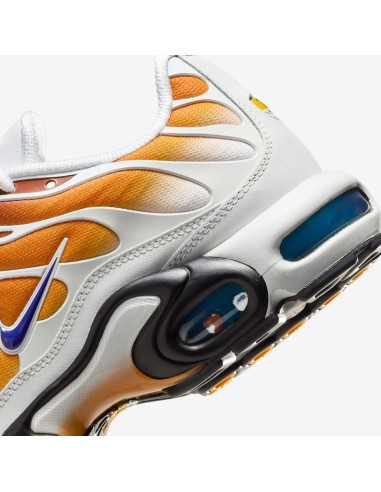 Nike Air Max Plus One Block Down Chutney FZ3308700 MBS