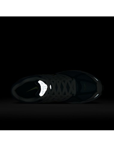 Nike Air Peg 2K5 Bicoastal FZ2590100 MBS