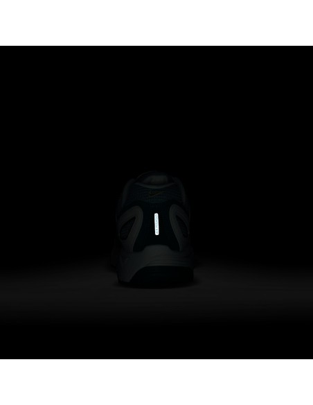 Nike Air Peg 2K5 Bicoastal FZ2590100 MBS