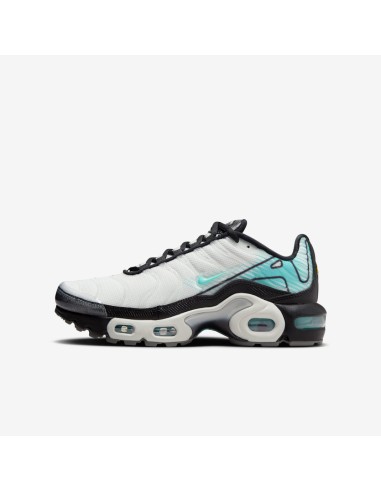 Nike Air Max Plus Hyper Blue GS IB2869100 MBS