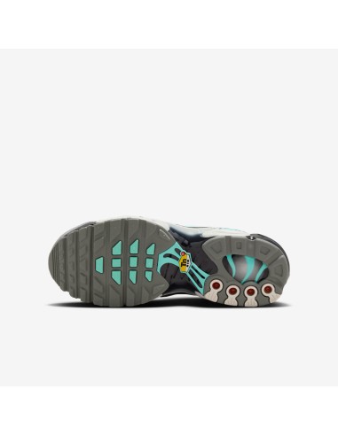 Nike Air Max Plus Hyper Blue GS IB2869100 MBS