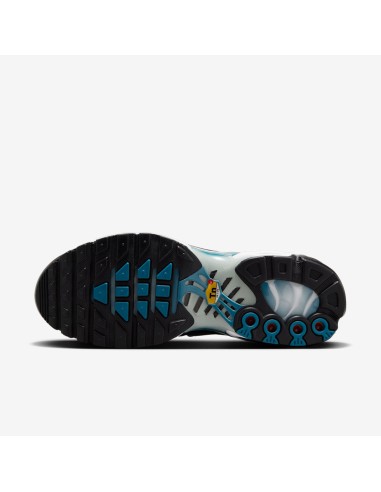Nike Air Max Plus Dot Pattern Black Dusty Cactus Women's HV6355001 MBS