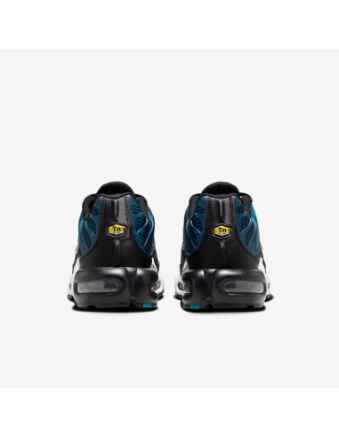 Nike Air Max Plus Dot Pattern Black Dusty Cactus Women's HV6355001 MBS