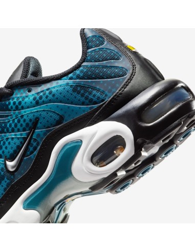 Nike Air Max Plus Dot Pattern Black Dusty Cactus Women's HV6355001 MBS