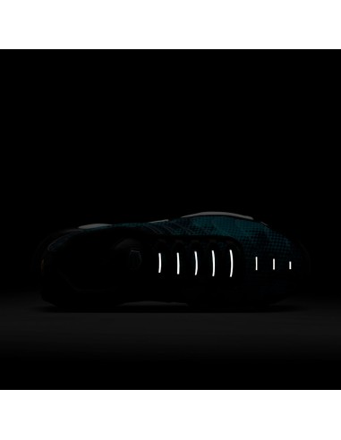 Nike Air Max Plus Dot Pattern Black Dusty Cactus Women's HV6355001 MBS