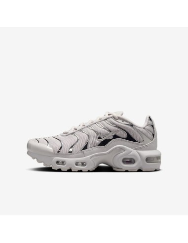 Nike Air Max Plus Light Iron Ore Gym Red Smoke Grey Metallic Silver GS FZ0977001 MBS