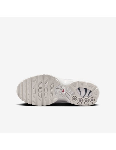 Nike Air Max Plus Light Iron Ore Gym Red Smoke Grey Metallic Silver GS FZ0977001 MBS